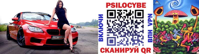 как найти закладки  Южно-Сухокумск  Псилоцибиновые грибы прущие грибы 